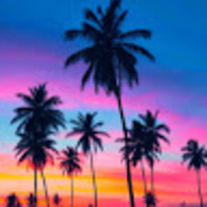 Meet your Posher, Lanie